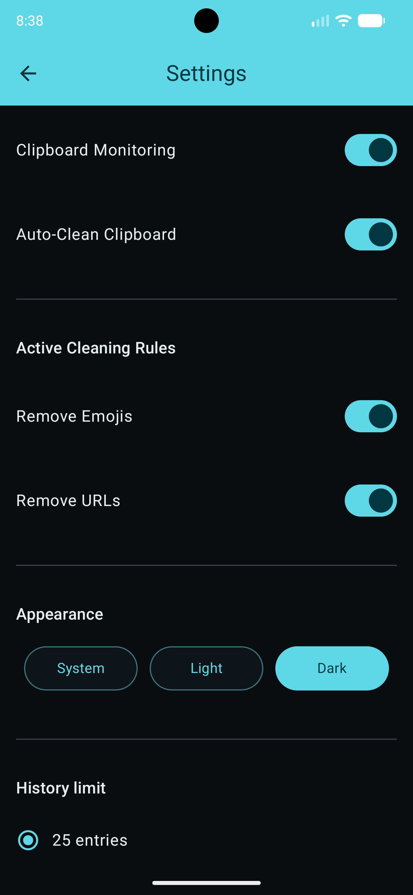 Clean Copy settings screen with monitoring and cleaning rules